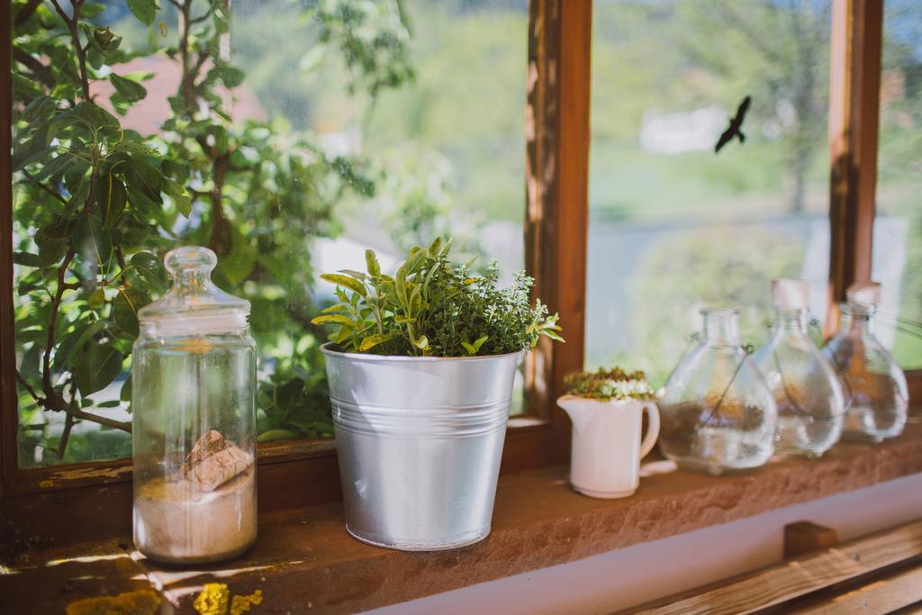 Dreimaederlhaus - Das Vegetarische Boutique Hotel Füssen Eksteriør billede